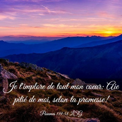 Picture 03 - Psaumes 119:58 LSG - Je t'implore de tout mon coeur: Aie pitié de - Bible Verse Picture