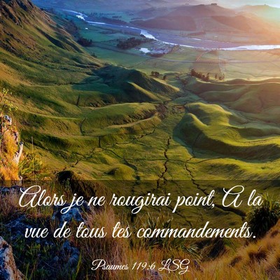 Picture 03 - Psaumes 119:6 LSG - Alors je ne rougirai point, A la vue de tous tes - Bible Verse Picture