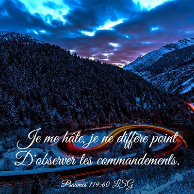 Picture 03 - Psaumes 119:60 LSG - Je me hâte, je ne diffère point D'observer tes - Bible Verse Picture