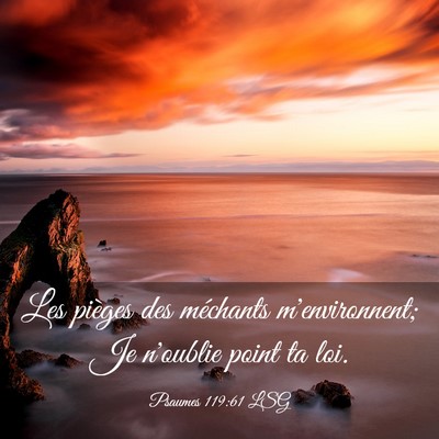 Picture 03 - Psaumes 119:61 LSG - Les pièges des méchants m'environnent; Je - Bible Verse Picture