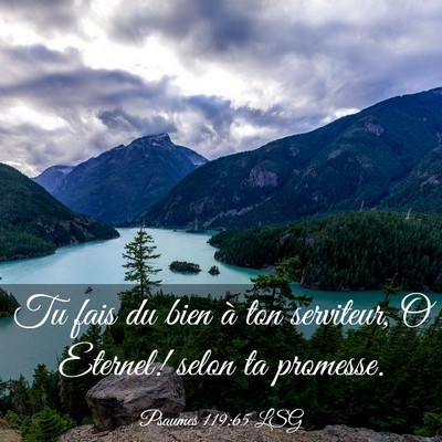 Picture 03 - Psaumes 119:65 LSG - Tu fais du bien à ton serviteur, O Eternel! - Bible Verse Picture