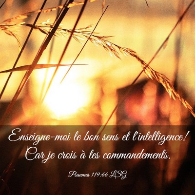 Picture 03 - Psaumes 119:66 LSG - Enseigne-moi le bon sens et l'intelligence! Car - Bible Verse Picture