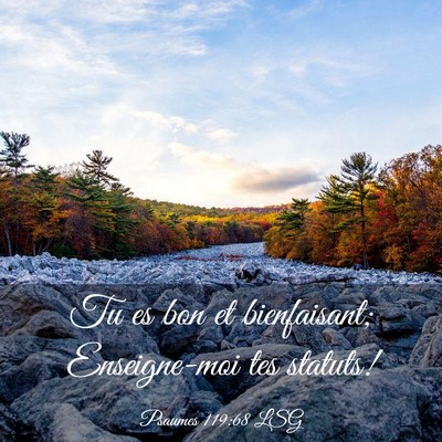 Picture 03 - Psaumes 119:68 LSG - Tu es bon et bienfaisant; Enseigne-moi tes - Bible Verse Picture
