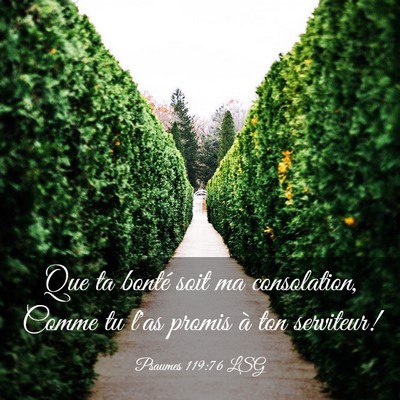 Picture 03 - Psaumes 119:76 LSG - Que ta bonté soit ma consolation, Comme tu l'as - Bible Verse Picture