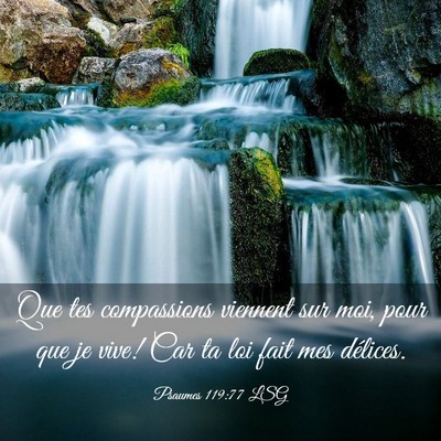 Picture 03 - Psaumes 119:77 LSG - Que tes compassions viennent sur moi, pour que je - Bible Verse Picture