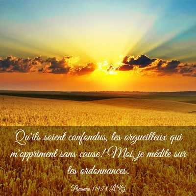 Picture 03 - Psaumes 119:78 LSG - Qu'ils soient confondus, les orgueilleux qui - Bible Verse Picture