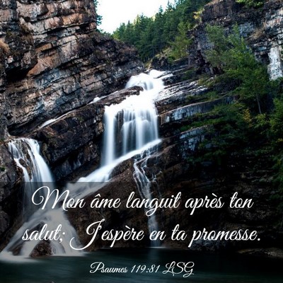 Picture 03 - Psaumes 119:81 LSG - Mon âme languit après ton salut; J'espère en - Bible Verse Picture