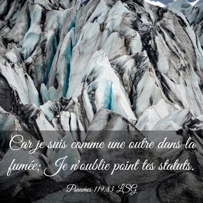 Picture 03 - Psaumes 119:83 LSG - Car je suis comme une outre dans la fumée; Je - Bible Verse Picture
