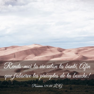Picture 03 - Psaumes 119:88 LSG - Rends-moi la vie selon ta bonté, Afin que - Bible Verse Picture