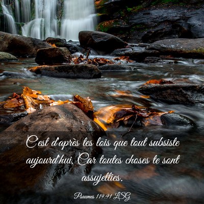 Picture 03 - Psaumes 119:91 LSG - C'est d'après tes lois que tout subsiste - Bible Verse Picture