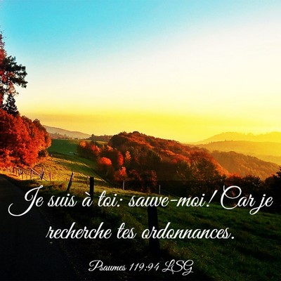 Picture 03 - Psaumes 119:94 LSG - Je suis à toi: sauve-moi! Car je recherche tes - Bible Verse Picture