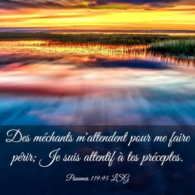Picture 03 - Psaumes 119:95 LSG - Des méchants m'attendent pour me faire périr; - Bible Verse Picture