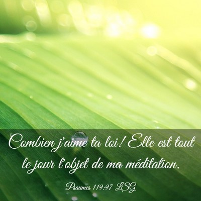 Picture 03 - Psaumes 119:97 LSG - Combien j'aime ta loi! Elle est tout le jour - Bible Verse Picture