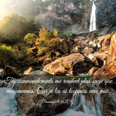 Picture 03 - Psaumes 119:98 LSG - Tes commandements me rendent plus sage que mes - Bible Verse Picture