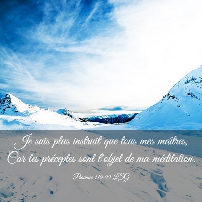 Picture 03 - Psaumes 119:99 LSG - Je suis plus instruit que tous mes maîtres, Car - Bible Verse Picture