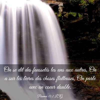 Picture 03 - Psaumes 12:2 LSG - On se dit des faussetés les uns aux autres, On a - Bible Verse Picture