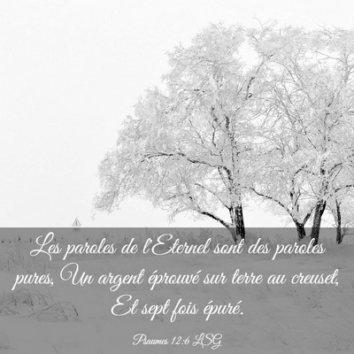 Picture 03 - Psaumes 12:6 LSG - Les paroles de l'Eternel sont des paroles pures, - Bible Verse Picture