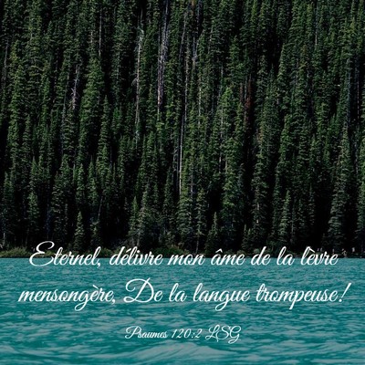 Picture 03 - Psaumes 120:2 LSG - Eternel, délivre mon âme de la lèvre - Bible Verse Picture