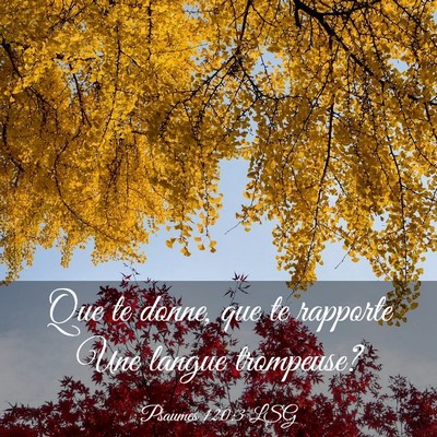 Picture 03 - Psaumes 120:3 LSG - Que te donne, que te rapporte Une langue - Bible Verse Picture