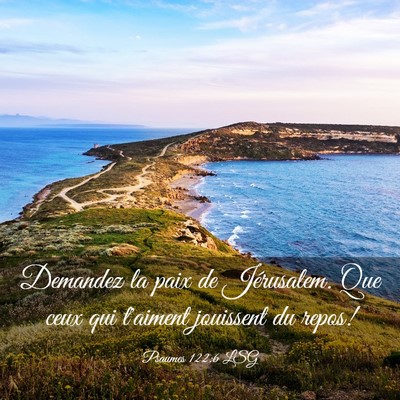 Picture 03 - Psaumes 122:6 LSG - Demandez la paix de Jérusalem. Que ceux qui - Bible Verse Picture