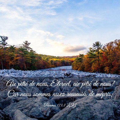 Picture 03 - Psaumes 123:3 LSG - Aie pitié de nous, Eternel, aie pitié de nous! - Bible Verse Picture