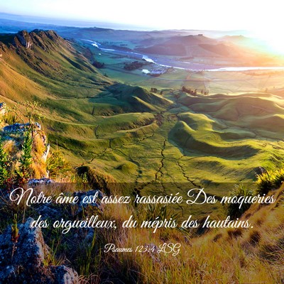 Picture 03 - Psaumes 123:4 LSG - Notre âme est assez rassasiée Des moqueries des - Bible Verse Picture