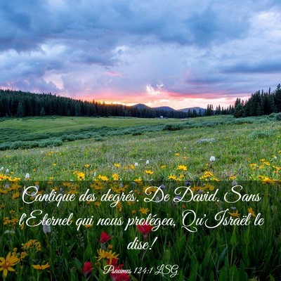 Picture 03 - Psaumes 124:1 LSG - Cantique des degrés. De David. Sans l'Eternel - Bible Verse Picture