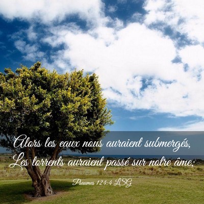 Picture 03 - Psaumes 124:4 LSG - Alors les eaux nous auraient submergés, Les - Bible Verse Picture