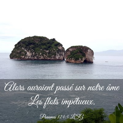 Picture 03 - Psaumes 124:5 LSG - Alors auraient passé sur notre âme Les flots - Bible Verse Picture
