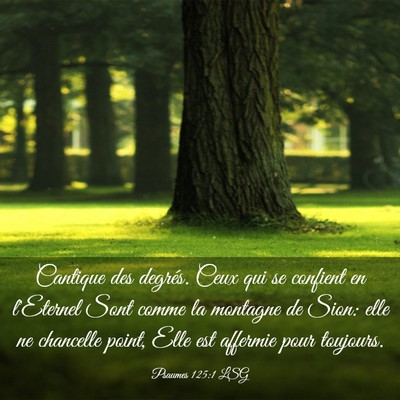 Picture 03 - Psaumes 125:1 LSG - Cantique des degrés. Ceux qui se confient en - Bible Verse Picture