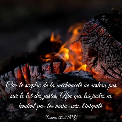 Picture 03 - Psaumes 125:3 LSG - Car le sceptre de la méchanceté ne restera pas - Bible Verse Picture