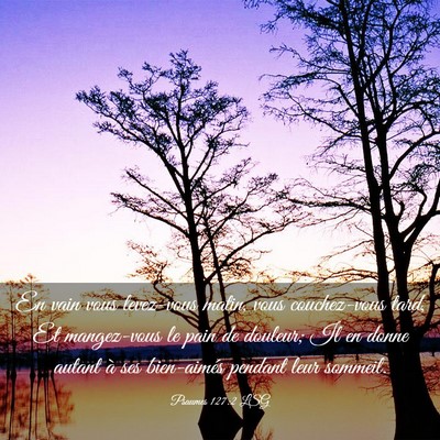 Picture 03 - Psaumes 127:2 LSG - En vain vous levez-vous matin, vous couchez-vous - Bible Verse Picture