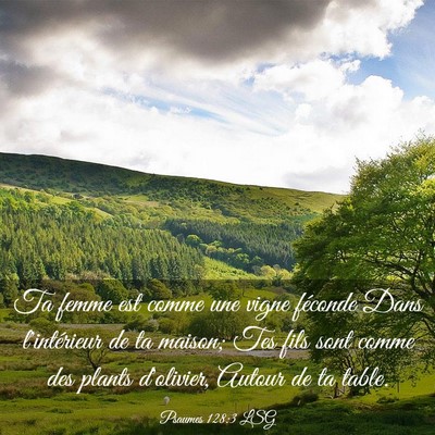 Picture 03 - Psaumes 128:3 LSG - Ta femme est comme une vigne féconde Dans - Bible Verse Picture