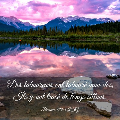 Picture 03 - Psaumes 129:3 LSG - Des laboureurs ont labouré mon dos, Ils y ont - Bible Verse Picture