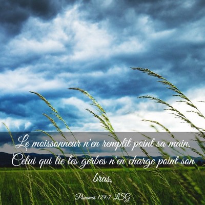 Picture 03 - Psaumes 129:7 LSG - Le moissonneur n'en remplit point sa main, Celui - Bible Verse Picture