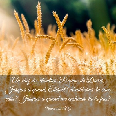 Picture 03 - Psaumes 13:1 LSG - Au chef des chantres. Psaume de David. Jusques à - Bible Verse Picture