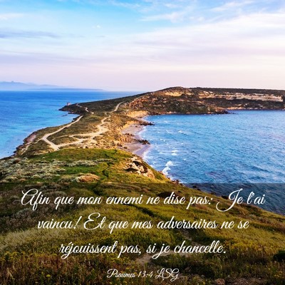 Picture 03 - Psaumes 13:4 LSG - Afin que mon ennemi ne dise pas: Je l'ai vaincu! - Bible Verse Picture