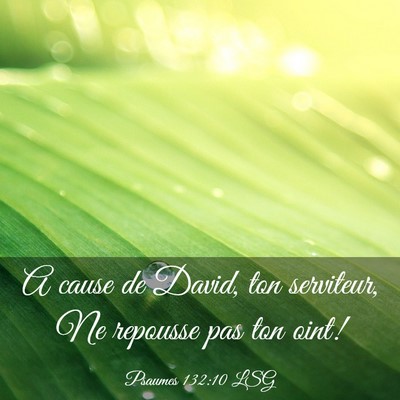 Picture 03 - Psaumes 132:10 LSG - A cause de David, ton serviteur, Ne repousse pas - Bible Verse Picture