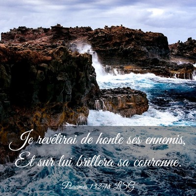 Picture 03 - Psaumes 132:18 LSG - Je revêtirai de honte ses ennemis, Et sur lui - Bible Verse Picture