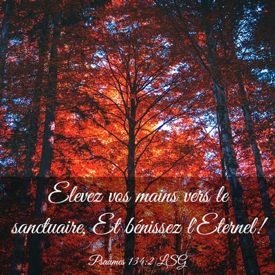 Picture 03 - Psaumes 134:2 LSG - Elevez vos mains vers le sanctuaire, Et bénissez - Bible Verse Picture
