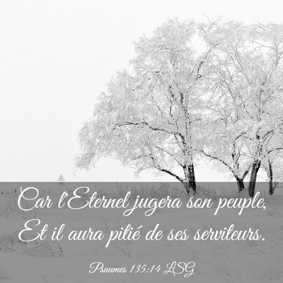 Picture 03 - Psaumes 135:14 LSG - Car l'Eternel jugera son peuple, Et il aura - Bible Verse Picture