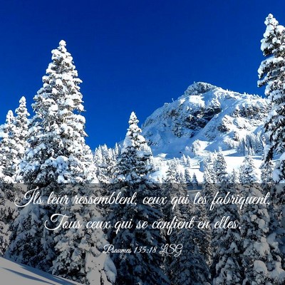 Picture 03 - Psaumes 135:18 LSG - Ils leur ressemblent, ceux qui les fabriquent, - Bible Verse Picture