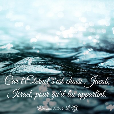 Picture 03 - Psaumes 135:4 LSG - Car l'Eternel s'est choisi Jacob, Israël, pour - Bible Verse Picture