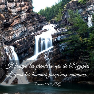 Picture 03 - Psaumes 135:8 LSG - Il frappa les premiers-nés de l'Egypte, Depuis - Bible Verse Picture