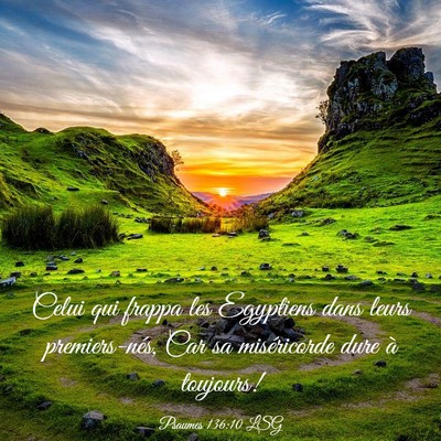 Picture 03 - Psaumes 136:10 LSG - Celui qui frappa les Egyptiens dans leurs - Bible Verse Picture