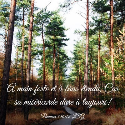 Picture 03 - Psaumes 136:12 LSG - A main forte et à bras étendu, Car sa - Bible Verse Picture