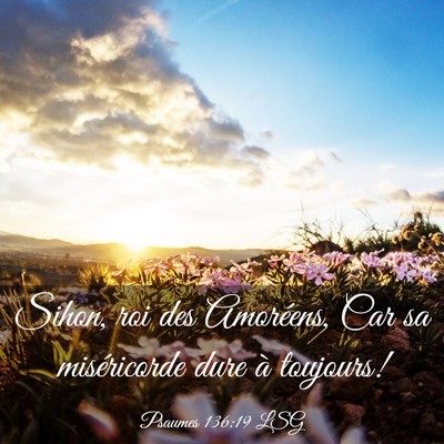 Picture 03 - Psaumes 136:19 LSG - Sihon, roi des Amoréens, Car sa miséricorde - Bible Verse Picture