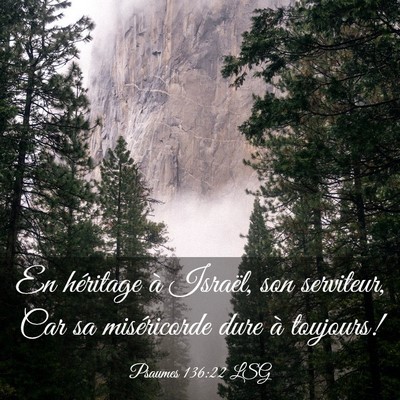 Picture 03 - Psaumes 136:22 LSG - En héritage à Israël, son serviteur, Car sa - Bible Verse Picture