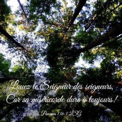 Picture 03 - Psaumes 136:3 LSG - Louez le Seigneur des seigneurs, Car sa - Bible Verse Picture
