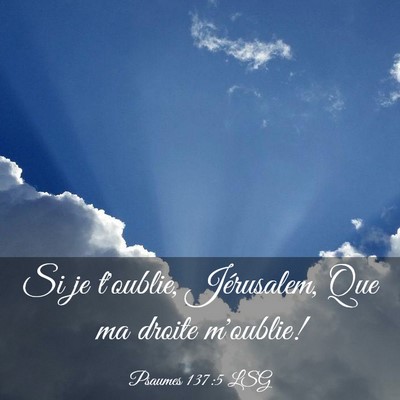 Picture 03 - Psaumes 137:5 LSG - Si je t'oublie, Jérusalem, Que ma droite - Bible Verse Picture